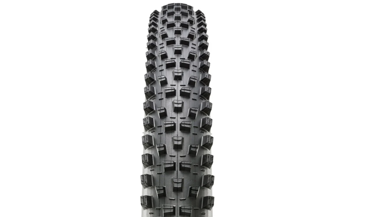 Pneu Maxxis Forekaster - Exo+ Protection - 3C Maxx Terra - Tubeless Ready - Image 2