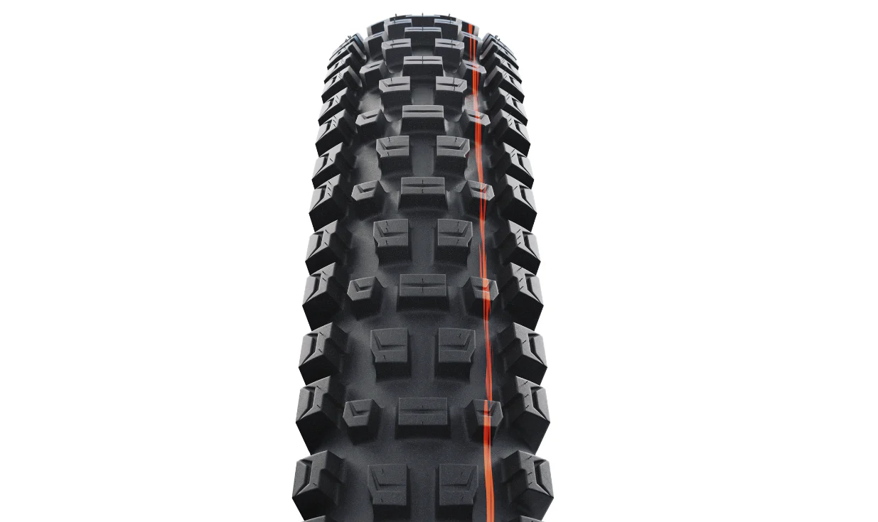 Pneu Schwalbe Albert Radial - Gravity PRO - Soft - tubeless ready - Image 2