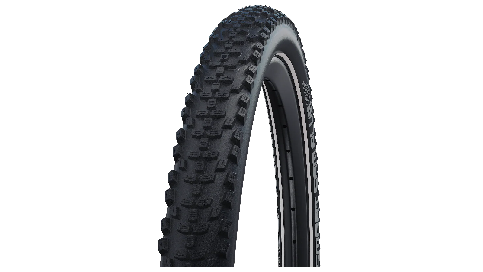 Pneu Schwalbe Smart Sam Plus 2024 - Addix Performance - GreenGuard - Double Defense - Snake Skin